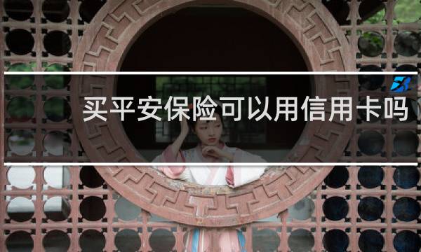 买平安保险可以用信用卡吗