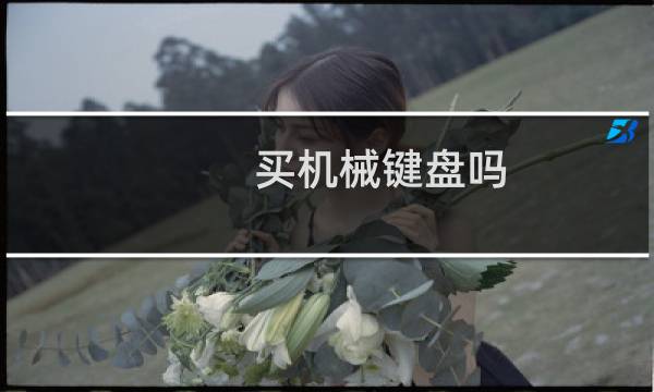 买机械键盘吗