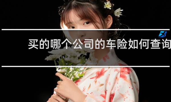 买的哪个公司的车险如何查询