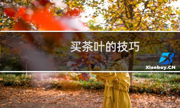 买茶叶的技巧