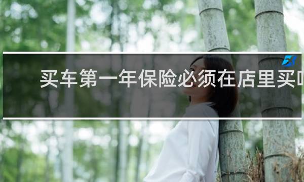 买车第一年保险必须在店里买吗