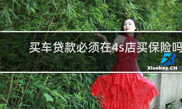 买车贷款必须在4s店买保险吗