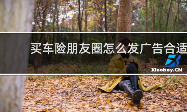 买车险朋友圈怎么发广告合适