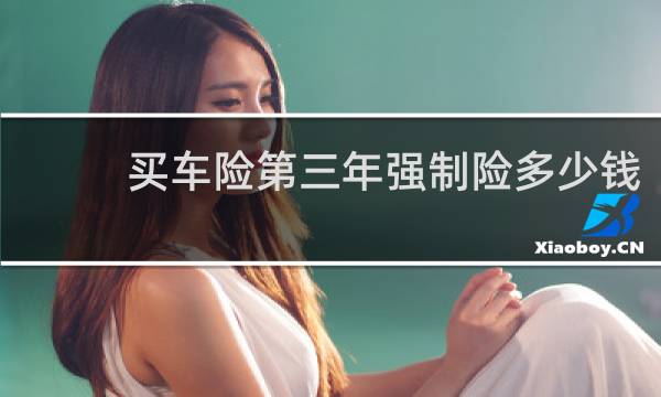 买车险第三年强制险多少钱