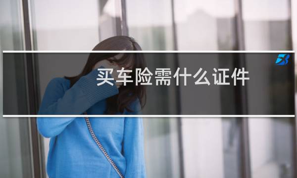 买车险需什么证件