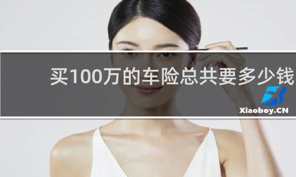 买100万的车险总共要多少钱