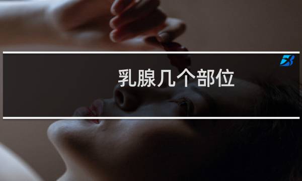 乳腺几个部位