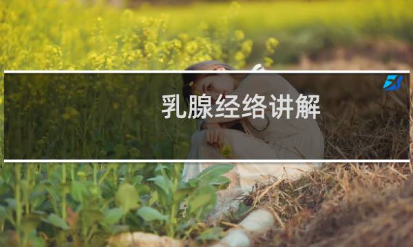 乳腺经络讲解