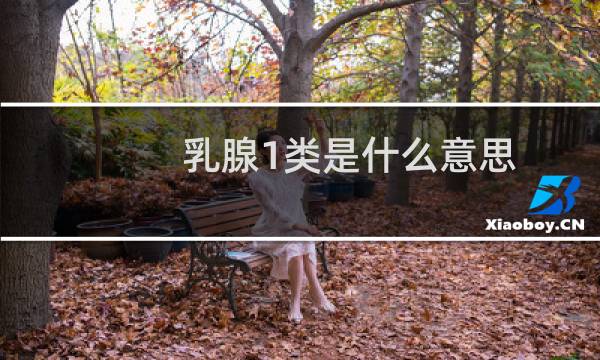 乳腺1类是什么意思