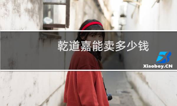 乾道嘉能卖多少钱