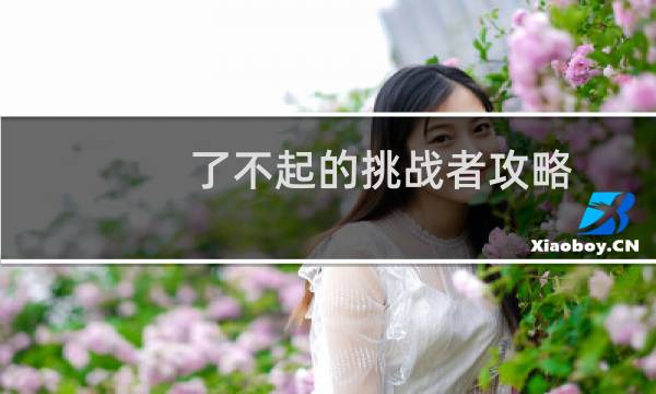 了不起的挑战者攻略