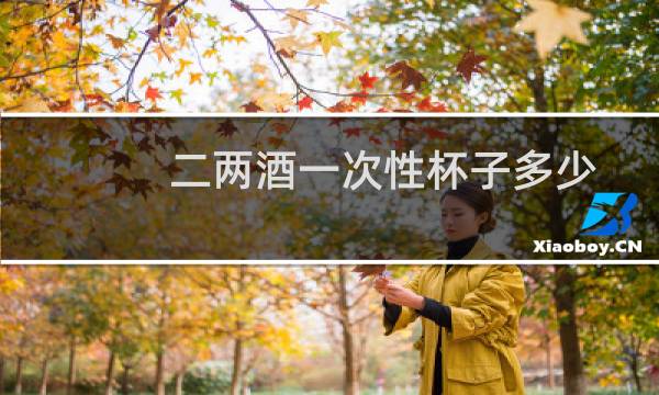 二两酒一次性杯子多少
