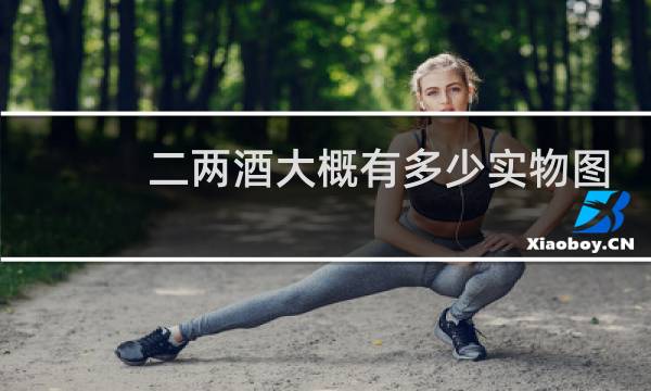 二两酒大概有多少实物图