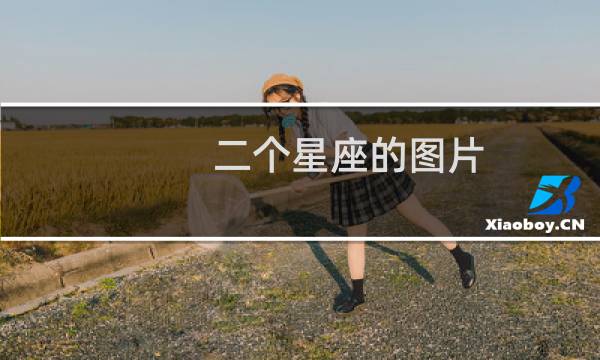 二个星座的图片