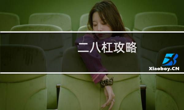 二八杠攻略