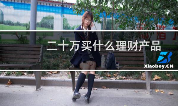 二十万买什么理财产品