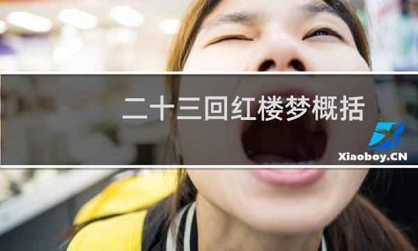二十三回红楼梦概括