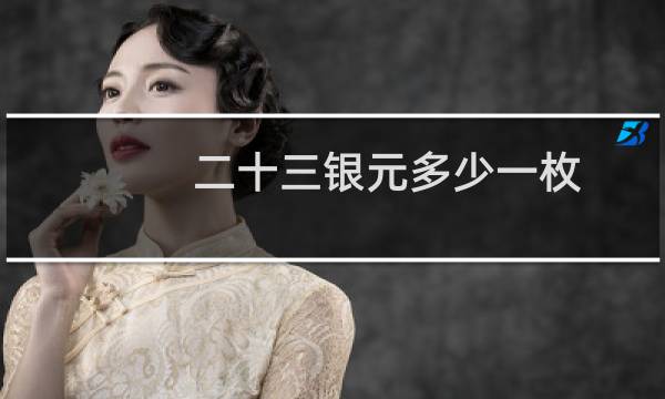 二十三银元多少一枚
