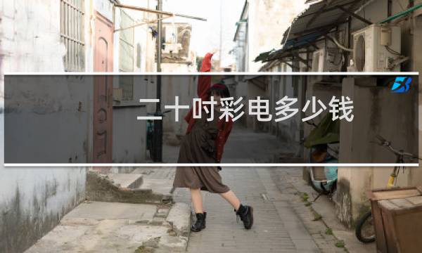 二十吋彩电多少钱
