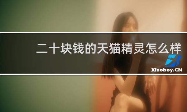 二十塊錢的天貓精靈怎么樣