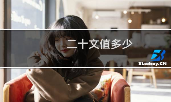 二十文值多少