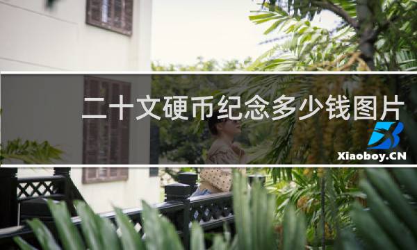 二十文硬币纪念多少钱图片