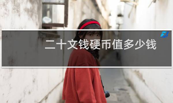 二十文钱硬币值多少钱