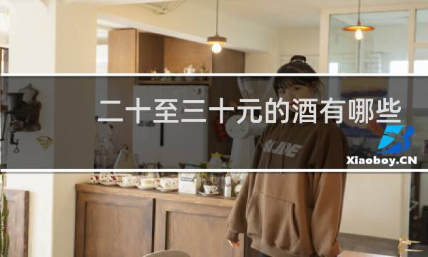 二十至三十元的酒有哪些