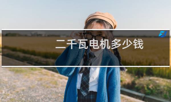 二千瓦电机多少钱