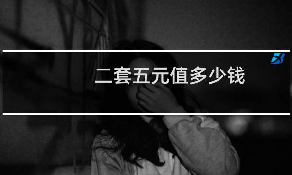 二套五元值多少钱