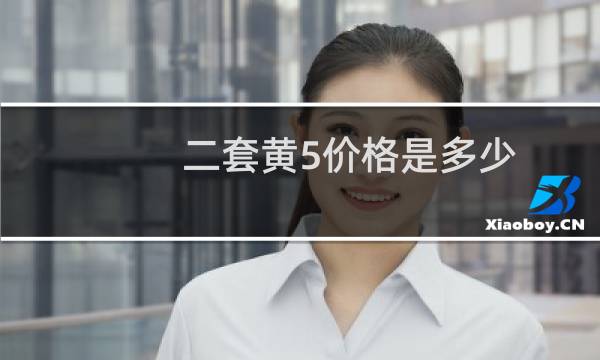 二套黄5价格是多少