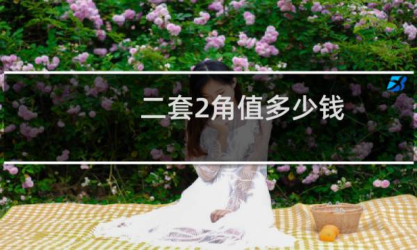 二套2角值多少钱