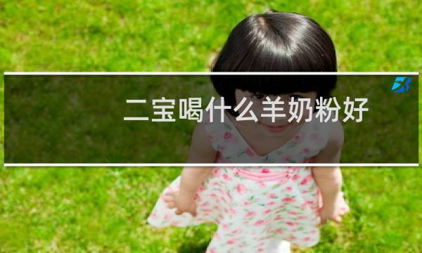 二宝喝什么羊奶粉好