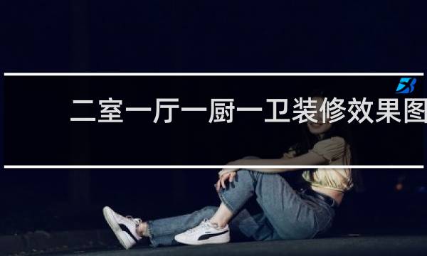 二室一厅一厨一卫装修效果图