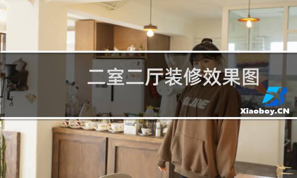 二室二厅装修效果图