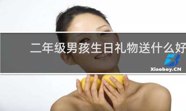 二年级男孩生日礼物送什么好