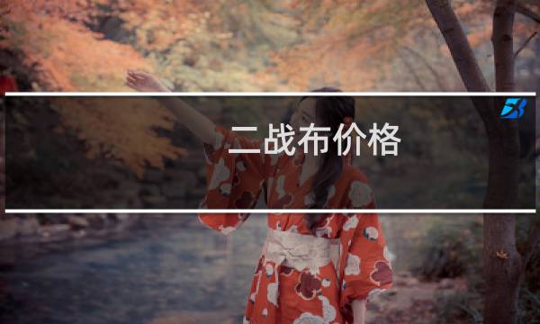 二战布价格
