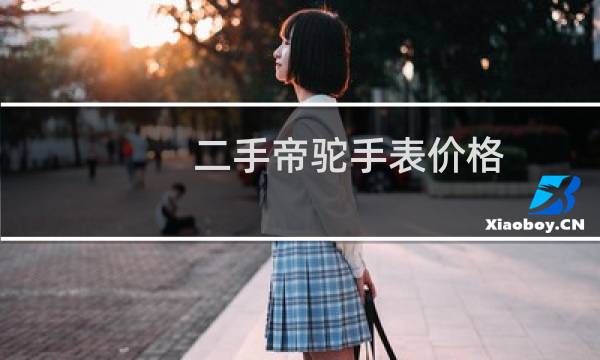 二手帝驼手表价格