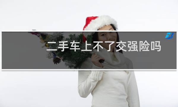 二手车上不了交强险吗