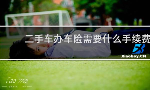二手车办车险需要什么手续费