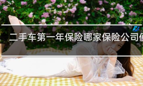 二手车第一年保险哪家保险公司便宜