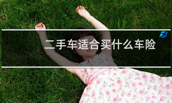 二手车适合买什么车险