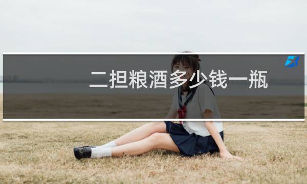 二担粮酒多少钱一瓶