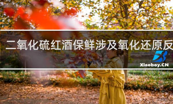 二氧化硫红酒保鲜涉及氧化还原反应吗