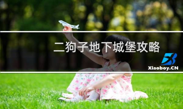 二狗子地下城堡攻略