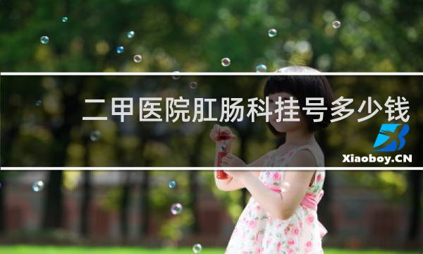 二甲医院肛肠科挂号多少钱