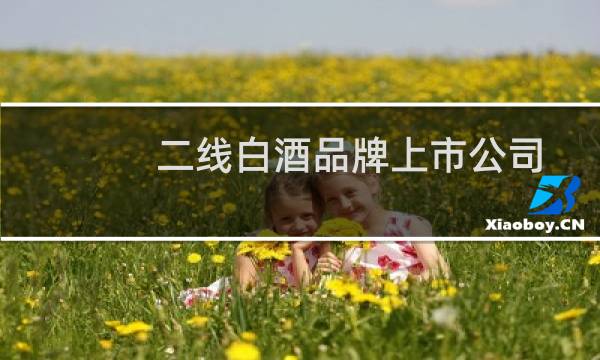 二线白酒品牌上市公司