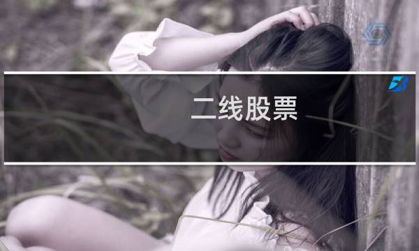 二线股票