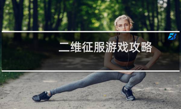 二维征服游戏攻略