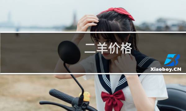 二羊价格